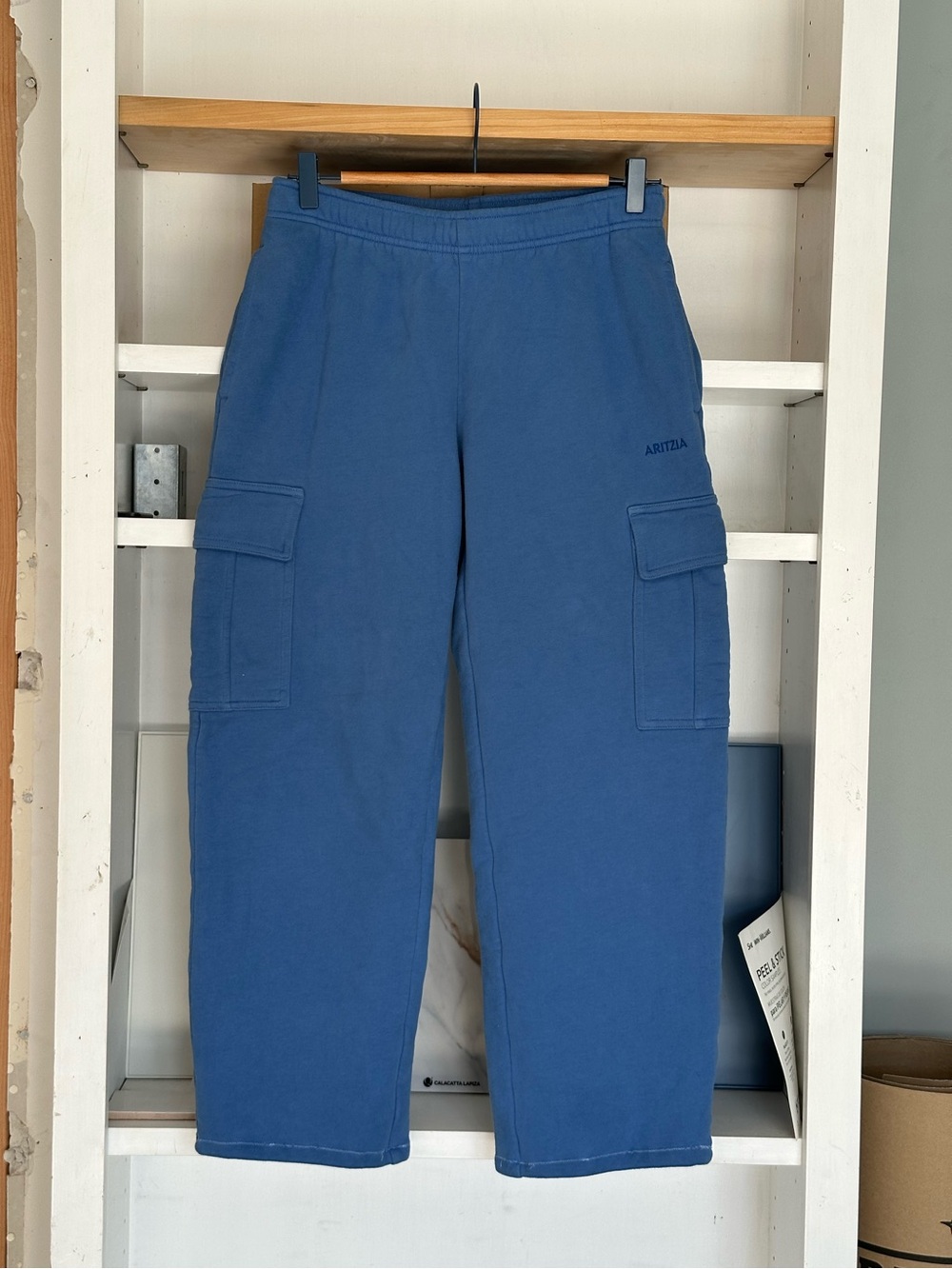 Aritzia Cozy Sweat Pants Mega Cargo in Blue
